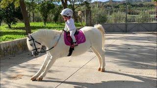 The cutest little toddler horse rider and her pony