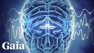 You Can DOUBLE Neuron Connections in the Brain With ONE HOUR of Focus
