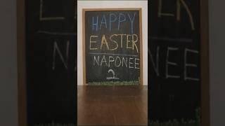 Happy Easter 2024! Naponee 2  #stopmotion