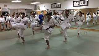 Fukyu Kata Dai San - Karate Kata OGKI