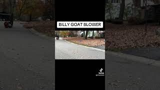 those oak leaves don’t stand a chance #satisfying #leaf #cleanup #cleaning #billygoat #fallcleanup