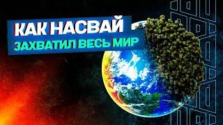 Вся правда про насвай