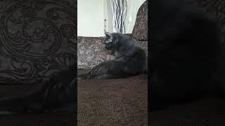 состояние необычное. чего то не хватает)))