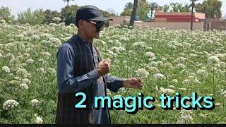 2 amazing magic tricks | qasim magic tricks #magic #youtubevideo #viralvideo #video