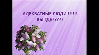 #РЕАЛ 225  Эквилитор. Кто виноват и что делать!? 4