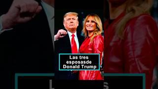 Las tres esposas de Donald Trump.#celebrity #foryou #usa #fyp
