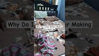 Why Do I Even Bother Making the Bed?!   #funny #relatable #family #everydaystruggles #comedy