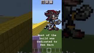 Minecraft View of the Sonic Wild Ride (ONE DIFFERENCE)