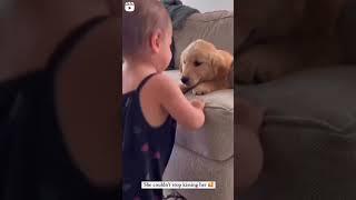 Baby Kissing a Dog! Will Melt Your Heart! ️️ #dog #baby #kissing #babies #dogs #awesome