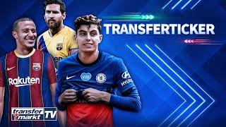 Chelsea holt Havertz / Barcelona will Thiago / Messi bleibt bis 2021! | TRANSFERMARKT