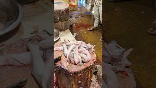 Amazing Loitta Fish Cutting Skills In Bangladesh Local Fish Market #shorts