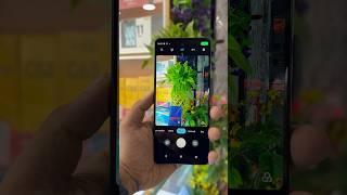 Motorola Moto g24 power camera testing