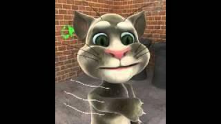 Talking Tom