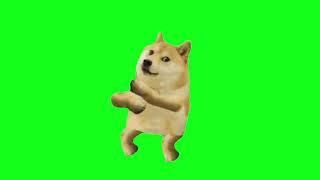 Green screen Dog dancing video#dog_meme