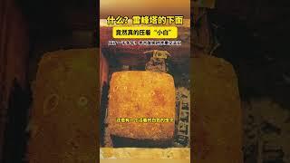 考古发掘时的神奇一幕……#雷峰塔 #白蛇 #趣说文物