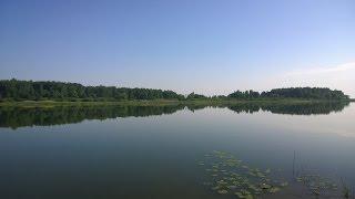 Остров Грабиловка на Волге (Иваньковское водохранилище)