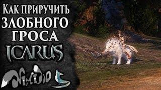 Icarus online(RU). Как приручить...#28. Злобный Грос. Берег Парны