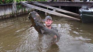 Noodling in Alabama! Grabbing Big Flatheads