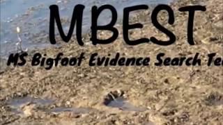 M.B.E.S.T. MBVD Mississippi Bigfoot Video Diaries 2/4/17