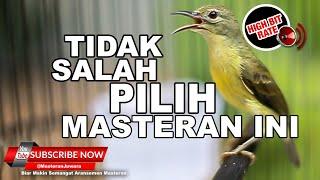  Suara Masteran Kolibri Kelapa Gacor️ Buka Paruh Full Tembakan