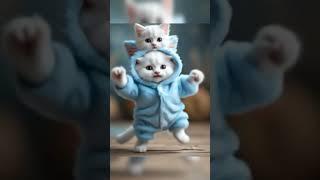 cute small Cat doing bhangda dance #cute #funny #cat