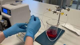 TFF with peristaltic pump