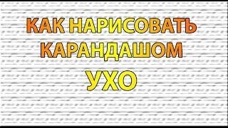 Видео: Как нарисовать УХО карандашом поэтапно для начинающих?