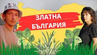 Какво ражда ЗЛАТНА България, билките и на село почистваме плевнята | Живот на село | Боби и Катето