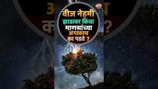 वीज नेहमी झाडावर किंवा माणसांच्या अंगावरच का पडते ? | Science Of Thunder |  Vishaych Bhari
