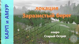 Русская рыбалка 4 - озеро Старый Острог - Карп и амур на клубничку