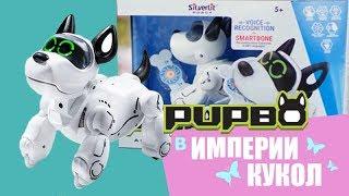 Собачка Папбо - PUPBO Dog Silverlit