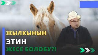 Жылкынын этин жесе болобу?! | шейх Тариэл Абжалбеков