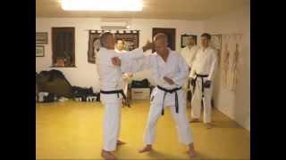 Tom Hill's Karate Dojo; Haisho; back hand techniques