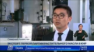 Казахстанский завод экспортировал в Китай 2000 тонн растительного масла