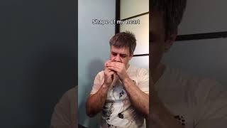 Shape of my heart на губной гармошке