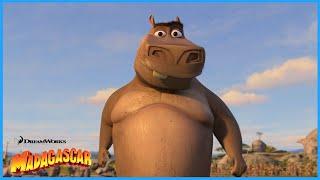 I Think Moto Moto Likes You | DreamWorks Madagascar | Extended Preview