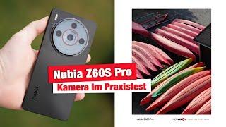 Nubia Z60S Pro - viel Smartphone zum fairen Preis ? Die Kamera im Praxistest ( Foto & Video )