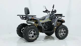 ATV SHARK 200