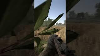 This is WHY you use HEDGES in Hell Let Loose short