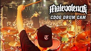 MALEVOLENCE - CDOG DRUM CAM (FULL SET) BERLIN