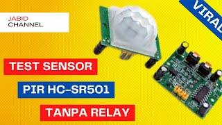 PIR Motion Sensor Test HC-SR501 Without Relay