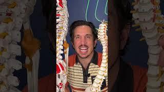 Anterior Pelvic Tilt Fix