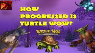 How progressed is Turtle Wow? May 2021