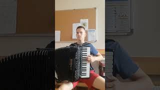 #accordion #music #cover #сплин