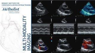 Multi-Modality Miscellaneous Case Studies (Parikh, MD, Khalaf, MD, Narezkin, MD) May 14, 2019