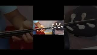 KISA SAP MAUN AĞACI BAĞLAMA 0546 976 2912 SEYHAN MÜZİK EVİ