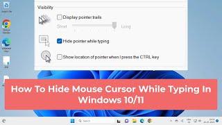 How To Hide Mouse Cursor While Typing In Windows 10/11