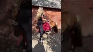 Magic 🪄 #equestrian #horse #shorts