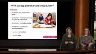 Understanding grammar and vocabulary assessment: what every teacher should know