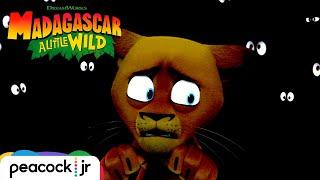 Alex Gets Lost in the Wild | MADAGASCAR A LITTLE WILD